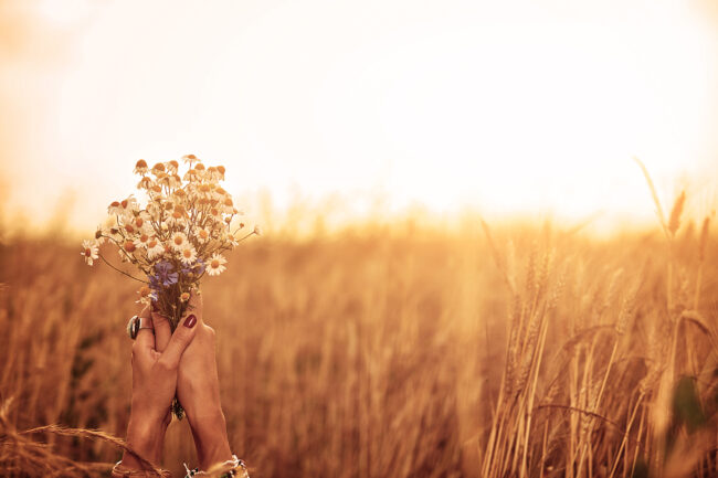 Girl holding flowers and lying in a wheat field.